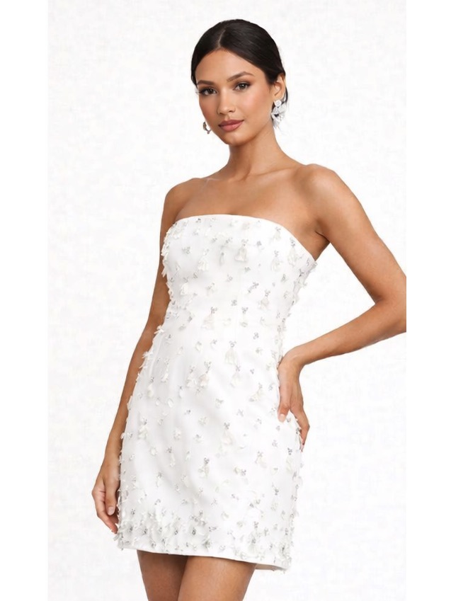 Nwt Simkhai Yasmin Strapless Embellished Bustier Mini Dress In Ivory Size 4